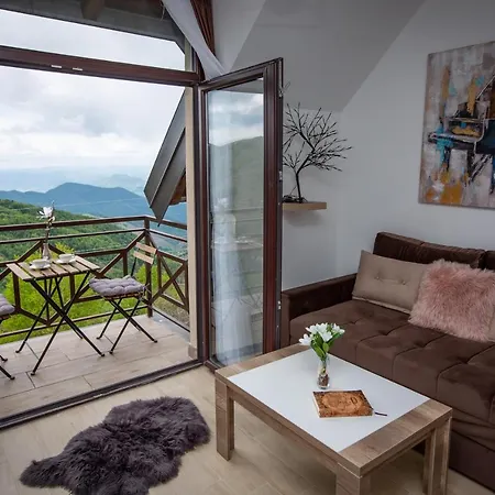 View Dvori E25 Kopaonik