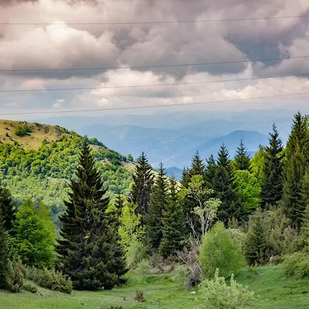 View Dvori E25 Apartment Kopaonik