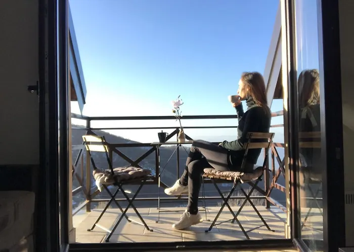 View Dvori E25 Apartman Kopaonik