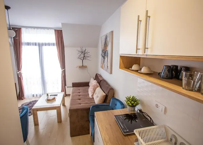 View Dvori E25 Kopaonik